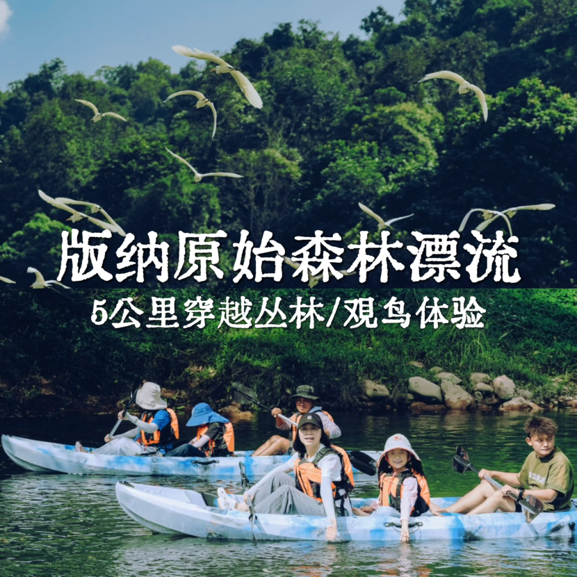 云南｜版纳5公里原始森林漂流1日体验，需自驾到达起始点，回宽老寨皮划艇穿越原始雨林、灌木群落，沿途野趣观鸟体验，解锁雨林生灵之美！亲子成人都适合，五一端午行程提前预定！
