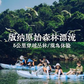 云南｜版纳5公里原始森林漂流1日体验，需自驾到达起始点，回宽老寨皮划艇穿越原始雨林、灌木群落，沿途野趣观鸟体验，解锁雨林生灵之美！亲子成人都适合，五一端午行程提前预定！