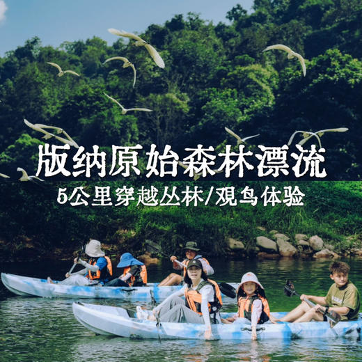 云南｜版纳5公里原始森林漂流1日体验，需自驾到达起始点，回宽老寨皮划艇穿越原始雨林、灌木群落，沿途野趣观鸟体验，漂流南腊河上游，解锁雨林生灵之美！亲子成人都适合，五一端午行程提前预定！ 商品图0
