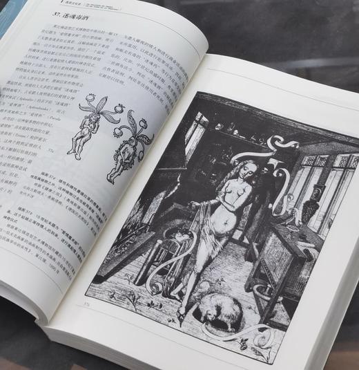 【特惠】《医药文化史》，平装，16开，[德]卡尔格・德克尔著，生活·读书·新知三联书店2019年，424面，定价:78.00元，售价31 商品图12