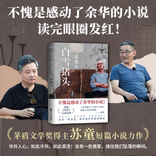 白雪猪头 苏童 商品图0