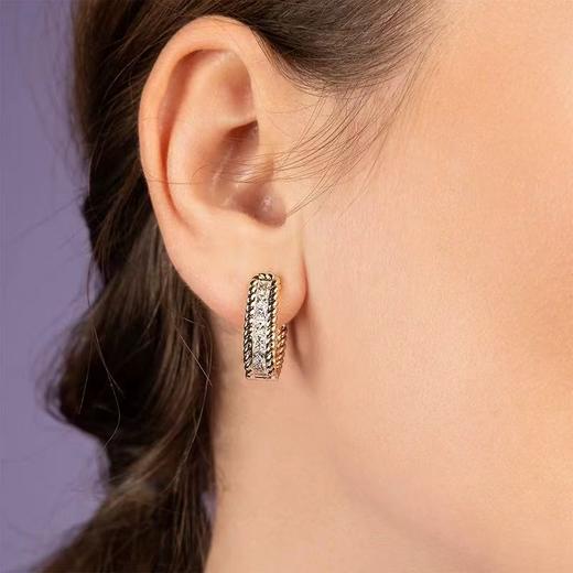 【不退不换，介意勿拍】APM Monaco 耳饰  YE16750OX-F 商品图1