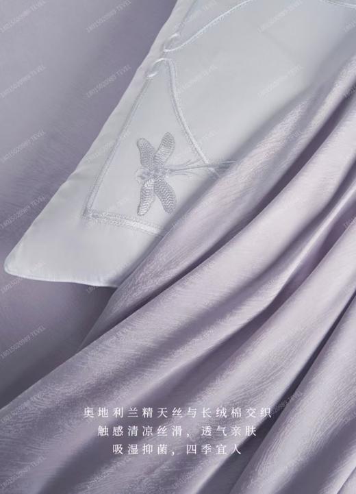 6F堂皇 玥影云纱 天丝棉四件套 商品图1