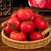 陕西普罗旺斯西红柿 净重4-4.5斤小中大果 商品缩略图1