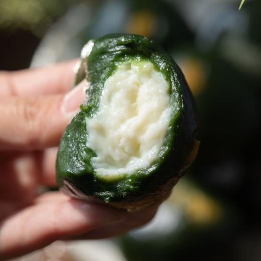 青团   糯叽叽 春天的气息   多种口味【下单就送2枚柴火豆沙青团，18日结束】 商品图11