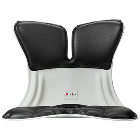 BKT 人体工学护腰坐姿椅 加大版 神秘黑-LP01