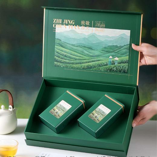 18元一套 / 一箱20套 致敬春天【信阳毛尖 双罐 绿色 】 商品图1