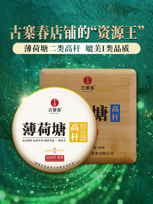 3月5日中午12点【薄荷塘高杆】2026年春茶预售重磅升级为高杆产品未被矮化的稀缺产品，树高全部超10米，薄荷塘二类高杆，媲美I类品质100克/饼 5饼/提 商品图10