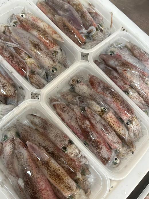 & 招牌鲜甜特色小管🦑~脆爽好吃，鲜美无敌！活冻 商品图0