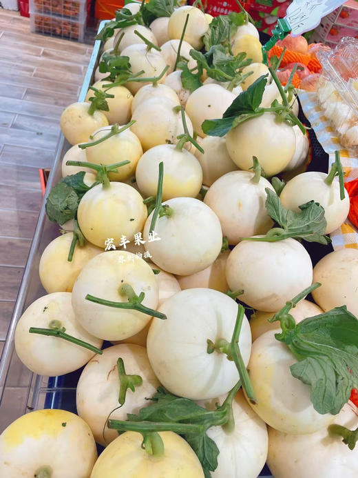 宏丰精选  本地梨瓜   口感脆甜  活动价5.8元一斤 商品图2