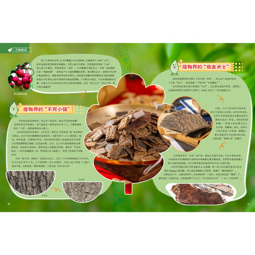 《大英百科少儿探索杂志：动动画世界》12期征订 商品图9