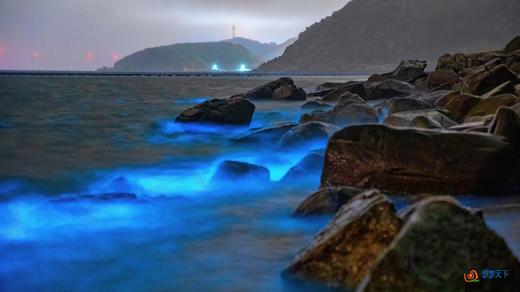 户外@【探寻“蓝眼泪”】福建平潭岛“蓝眼泪”•东庠岛高铁4天 商品图1