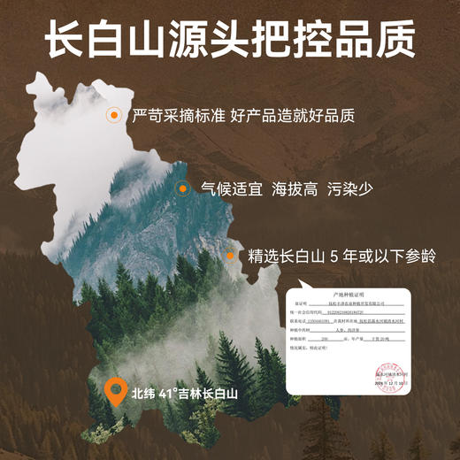 高能量参萃续航饮 源于长白山宋博士研发 温和养颜补元气 适合疲惫劳累上班学生考试 人参饮 商品图5