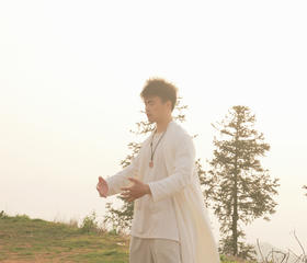 胡凡老师真传【桩功一】温养经络 调理气血