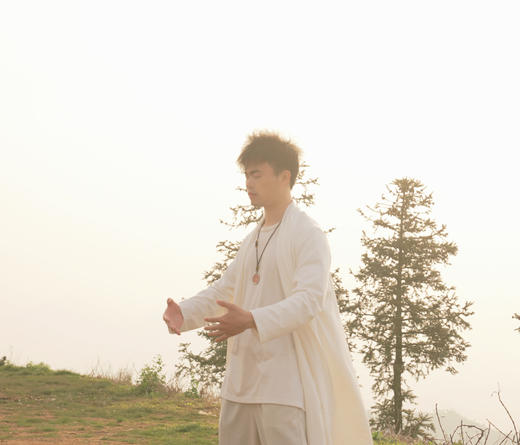 胡凡老师真传【桩功一】温养经络 调理气血 商品图0