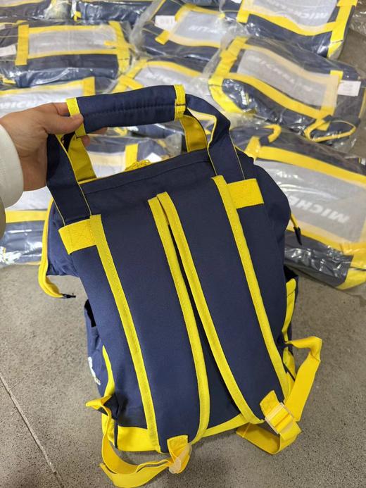 F0304109新款撞色织袋大容量耐脏米奇双肩包再生材料保温包 商品图11
