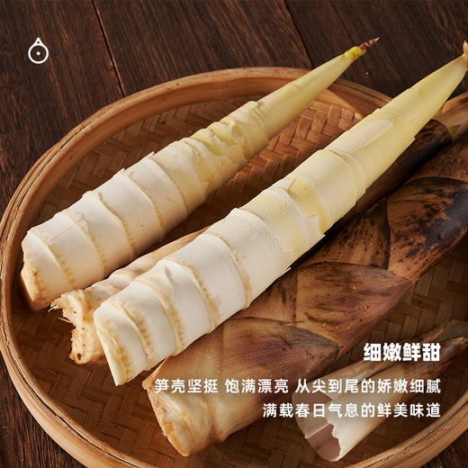 企鹅市集|浙江奉化 有机春笋雷笋 山林鲜美滋味 现挖现发 商品图4