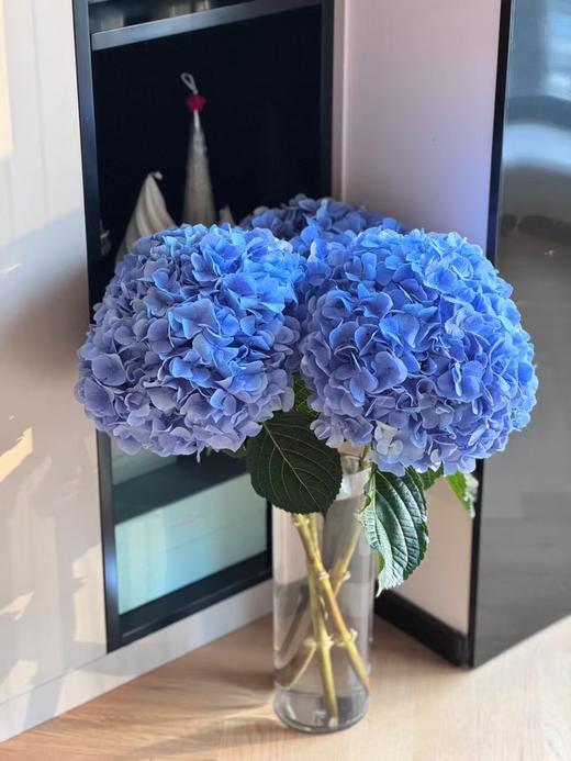 深蓝色绣球1枝 商品图0