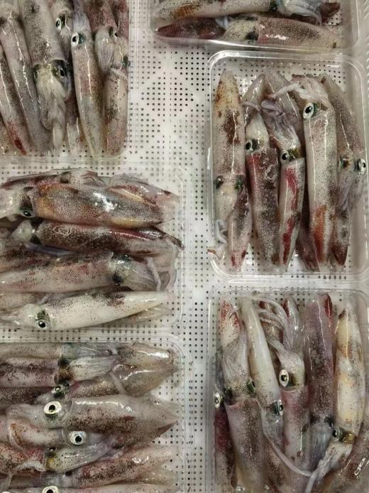 & 招牌鲜甜特色小管🦑~脆爽好吃，鲜美无敌！活冻 商品图2