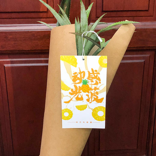 zc【一口消灭负能量】动感光菠 神湾菠萝 水培菠萝  2个彩箱装 商品图1