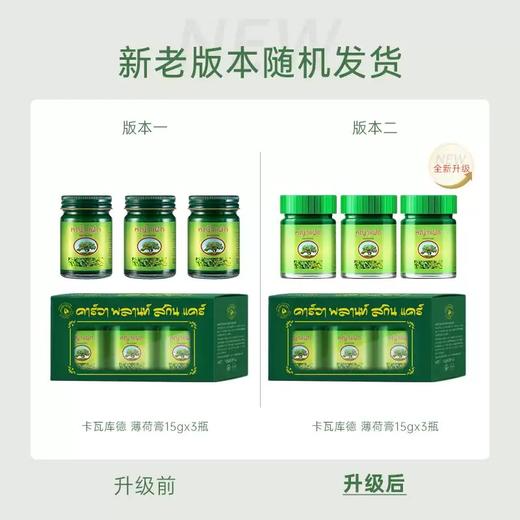 【一般贸易】卡瓦库德青草膏薄荷膏15g*3瓶 商品图3