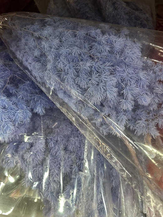 国产花材-【永生蓬莱松】 商品图9