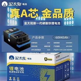 【美点特惠】60V45AH 金太阳锂电池 武汉到店 全新直购