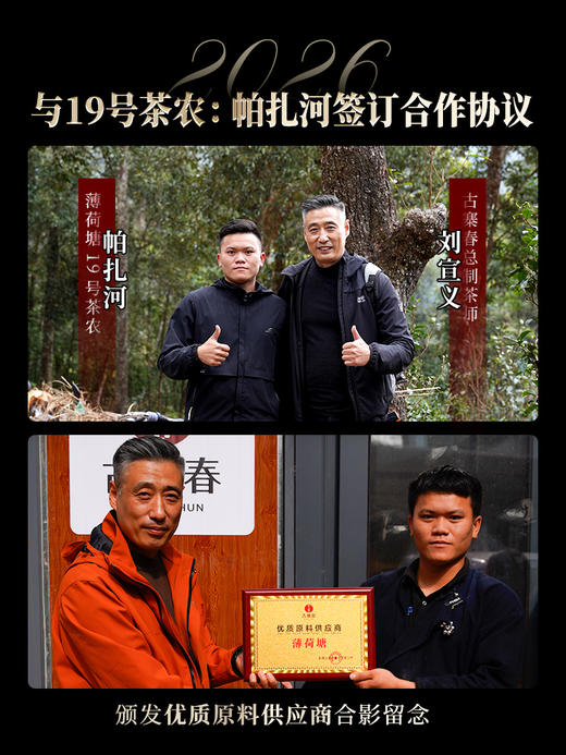 3月5日中午12点【薄荷塘高杆】2026年春茶预售重磅升级为高杆产品未被矮化的稀缺产品，树高全部超10米，薄荷塘二类高杆，媲美I类品质100克/饼 5饼/提 商品图5