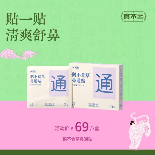 现货！【真不二】鹅不食草鼻通贴3盒装儿童成人贴鼻塞通鼻神器晚安贴（ 6贴/盒 6个月及以上可用） 商品图0
