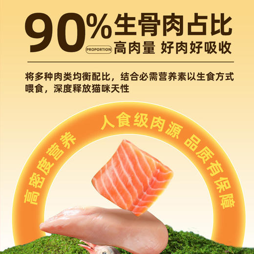 冒险与它生骨肉主食猫罐头170g兔肉乳鸽猫咪湿粮猫饭猫咪罐头批发 商品图3