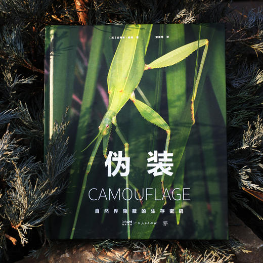《展示：动物生存与繁衍中的社交艺术》《伪装：自然界隐蔽的生存密码》| DK前主编力荐 亲子共读推荐读物 商品图6