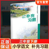 2026春 小学语文补充习题 三年级下册 3下 小学教辅 学生习题集 商品缩略图0