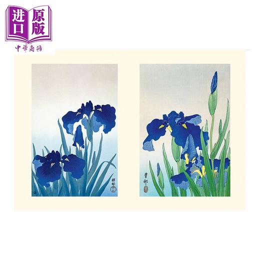 【中商原版】Flowers of Japan 进口艺术 日本花卉：日本木版画杰作 Rizzoli 商品图1