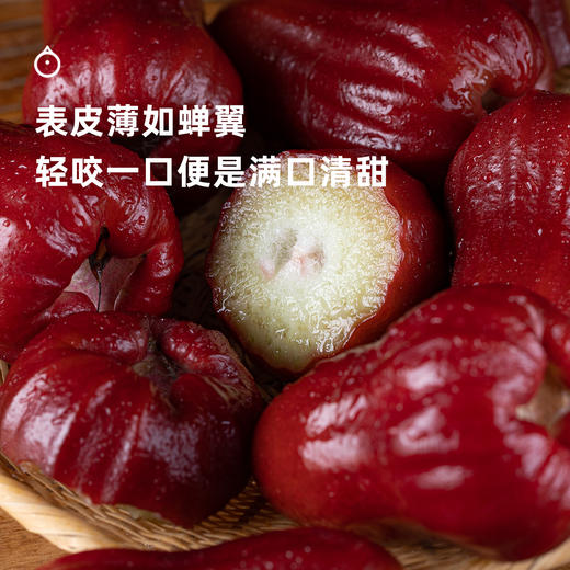 企鹅市集|海南三亚 蜜风铃莲雾 清甜爽脆多汁 生态种植 人工精选采摘 商品图2