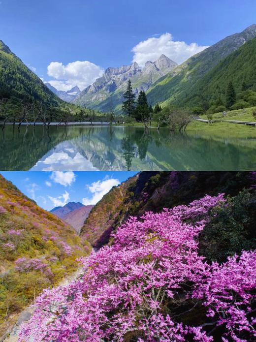 春假专场4.1-4.3【山野趣多多：剑门关+唐家河】3天2夜自然科普独立营：打卡剑门雄关、走进唐家河野生动物天堂，深入森林探寻濒危珍稀动物！跟踪足迹，测量采集动物踪迹，野外红外相机实践，对话高山向导！ 商品图9