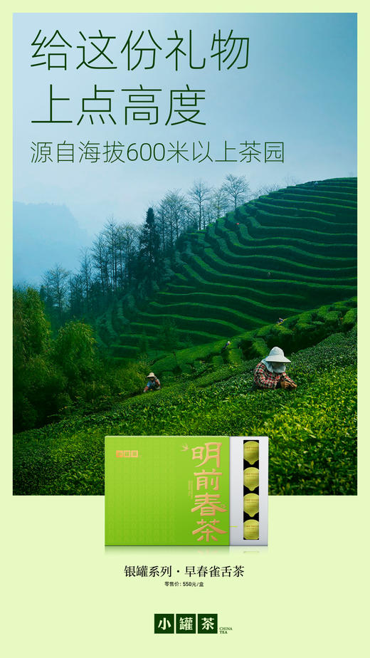 小罐茶大师系列2026年早春雀舌茶20罐绿茶茶叶礼盒装 商品图8