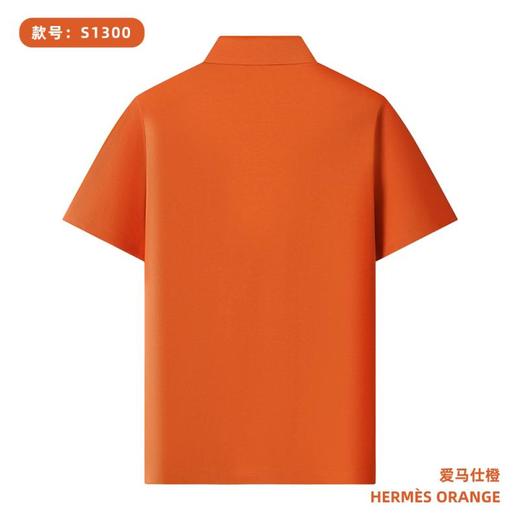 210g 60支棉+天丝莱赛尔纯色二级贴胶布领短袖翻领上衣  ZT-S1300# 商品图4