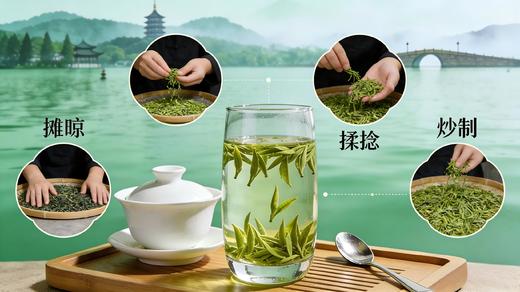 西云坞 2026春茶明前西湖龙井茶100克 商品图1