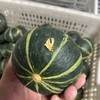 青小贝•贝贝南瓜（B级果）一批有点丑，但巨香甜的货 商品缩略图8