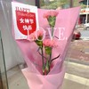 鲜花系列19.99元（颜色随机） 商品缩略图1