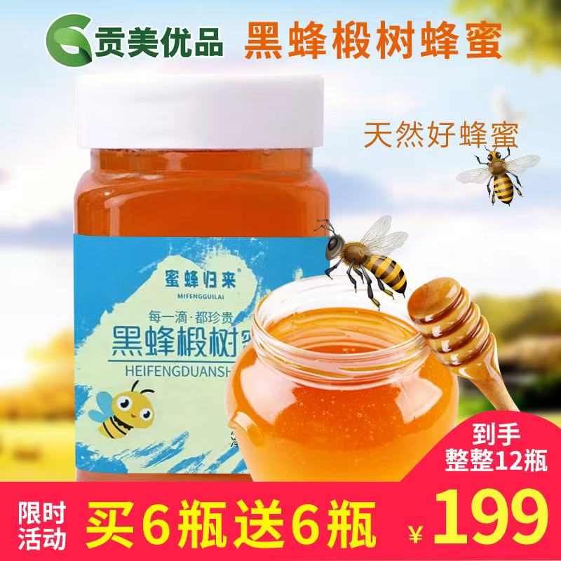 蜜蜂归来 黑蜂椴树蜜 每一滴都珍贵 波美度≥42° 净含量500g/瓶