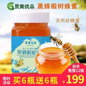 蜜蜂归来 黑蜂椴树蜜 每一滴都珍贵 波美度≥42° 净含量500g/瓶