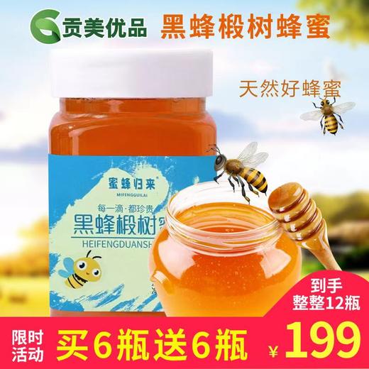 蜜蜂归来 黑蜂椴树蜜 每一滴都珍贵 波美度≥42° 净含量500g/瓶 商品图0