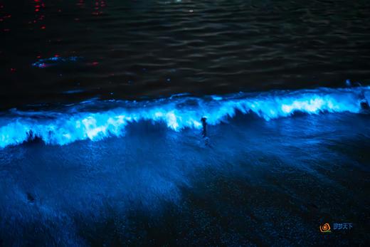 户外@【探寻“蓝眼泪”】福建平潭岛“蓝眼泪”•东庠岛高铁4天 商品图3