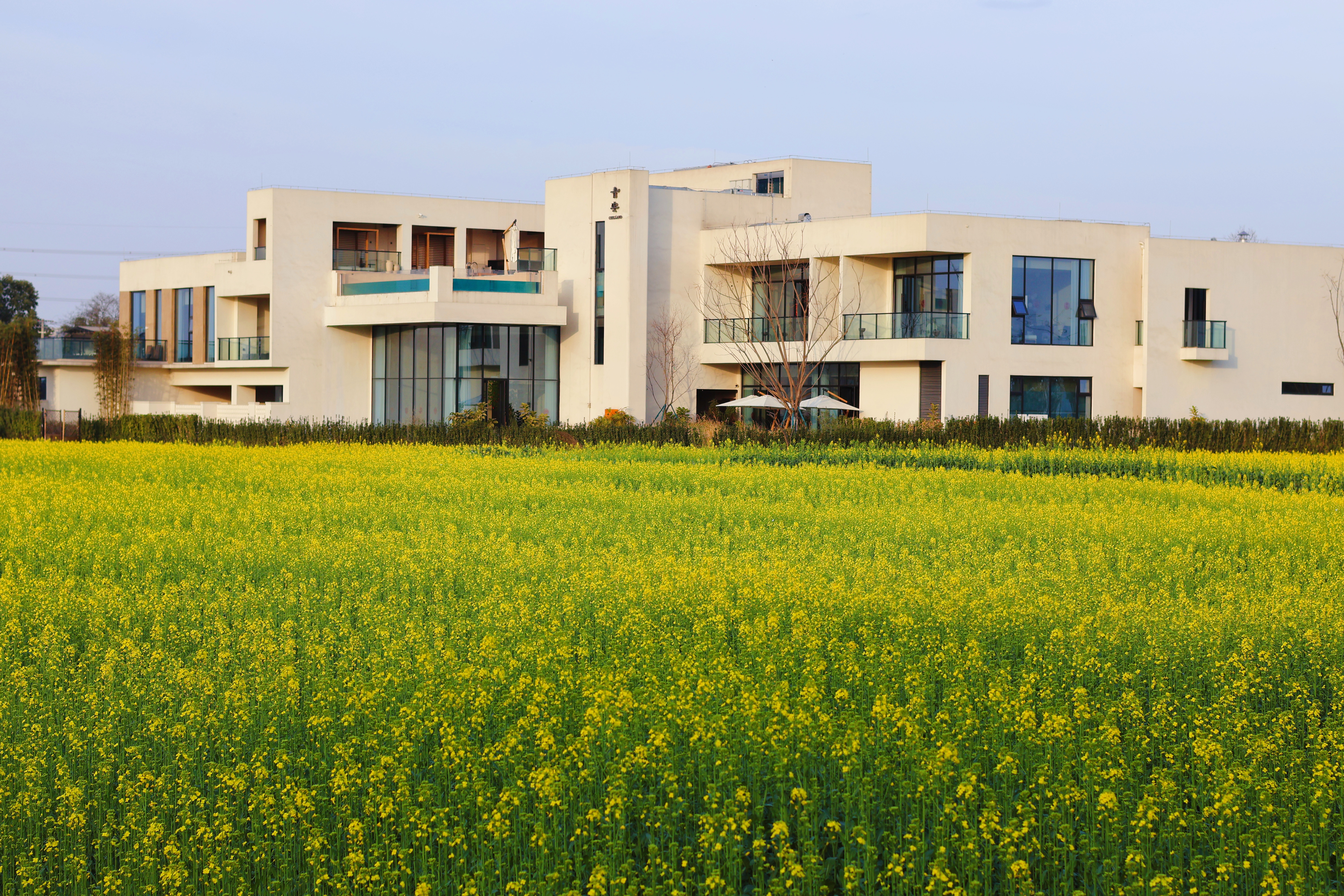 【觅趣614号院·新都】3折住原价799亲子房，599元周末通用不加价！稻田民宿，单房预定超值套餐！qa