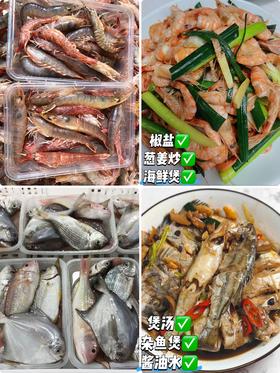 &当天到港新鲜海海杂鱼杂虾🦐性价比高，不同的品种，营养搭配更丰富👍【活冻】