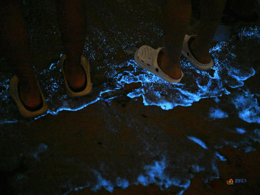 户外@【探寻“蓝眼泪”】福建平潭岛“蓝眼泪”•东庠岛高铁4天 商品图5