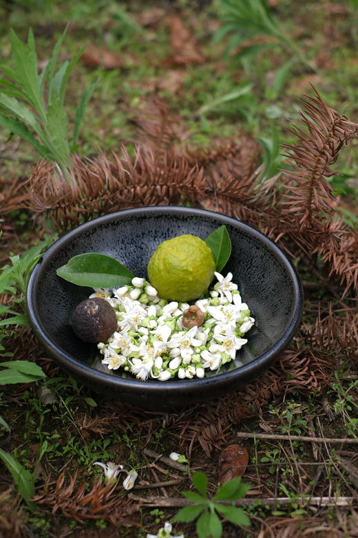 【奕虹定制】芳疗师摩洛哥橙花精油氨基酸洗面奶——面霜级的养护 纯天然泡沫绵密100g 商品图5