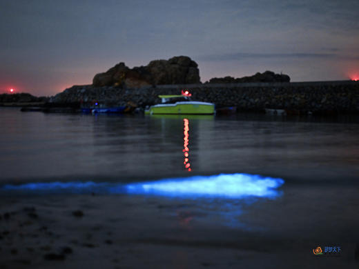 户外@【探寻“蓝眼泪”】福建平潭岛“蓝眼泪”•东庠岛高铁4天 商品图6