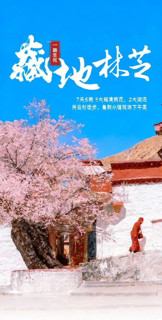 一路生花 藏地林芝 7日 商品图0